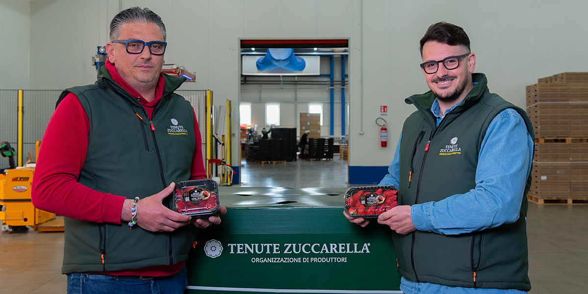 Tenute Zuccarella e Carby Label®: una partnership d’eccellenza per valorizzare la fragola Sabrosa Candonga